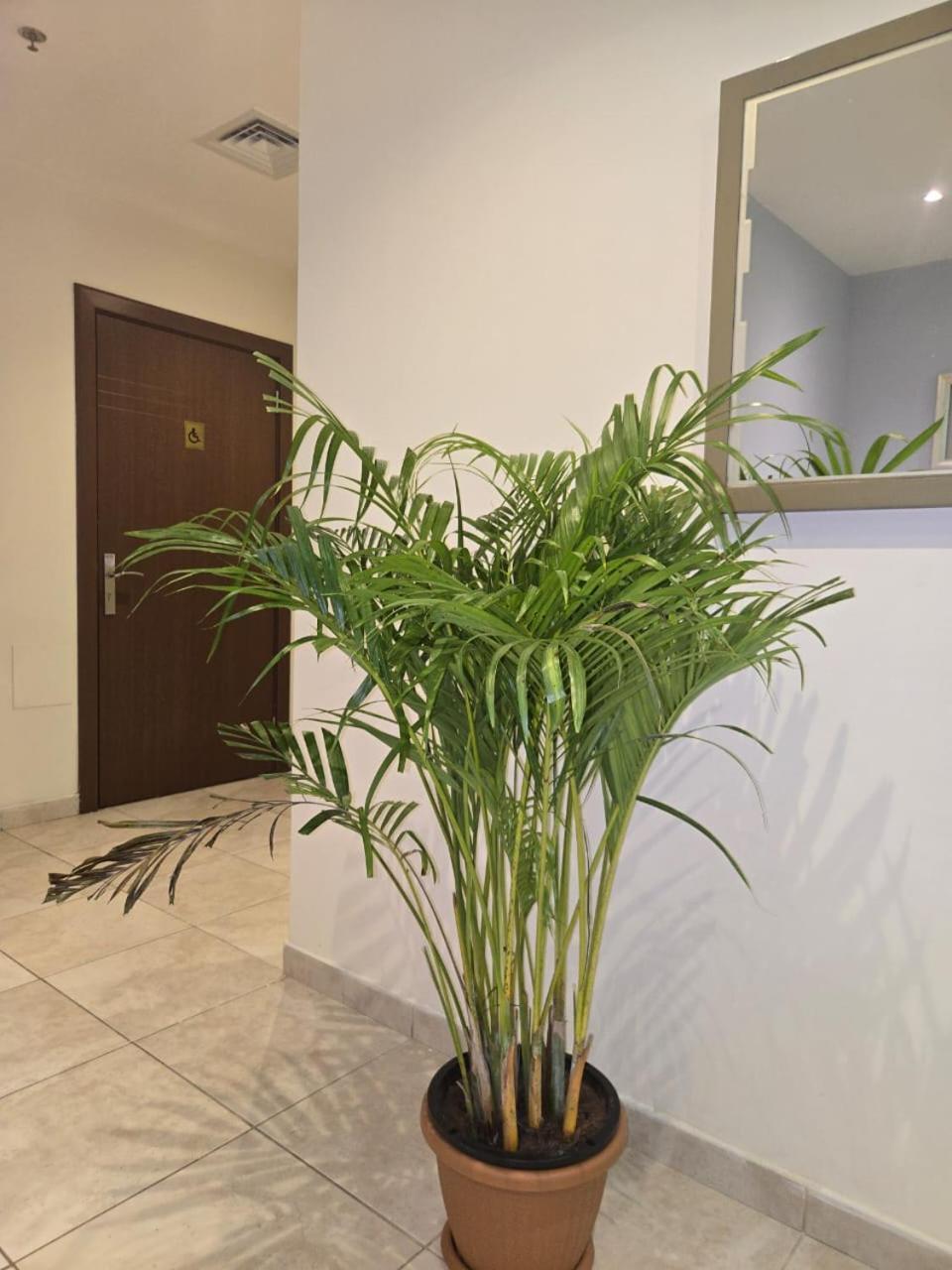 Al Raya Hotel Apartments Dubai Buitenkant foto